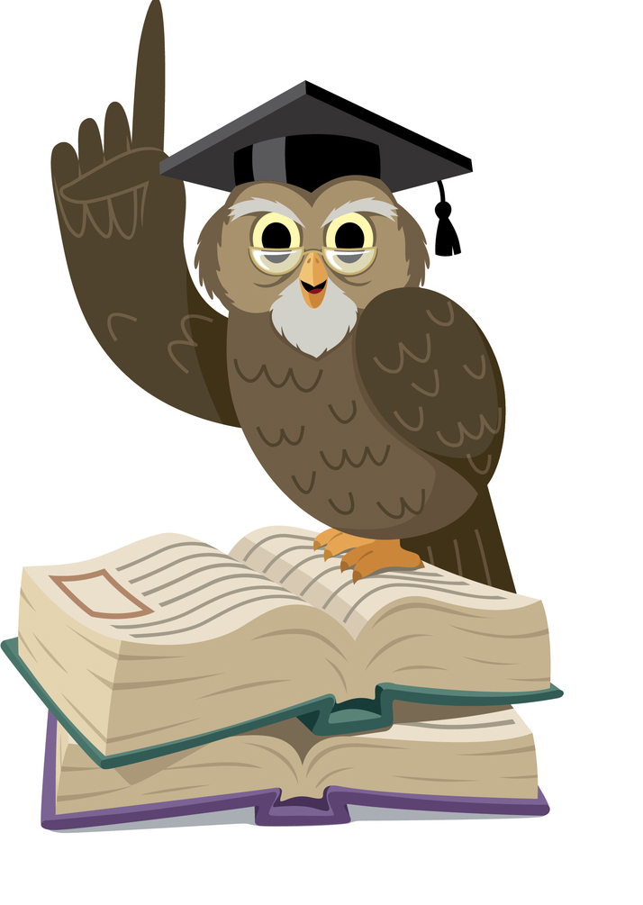 ThinkstockPhotos 519319180 Smart Owl - 17 Fascinating Owl Facts