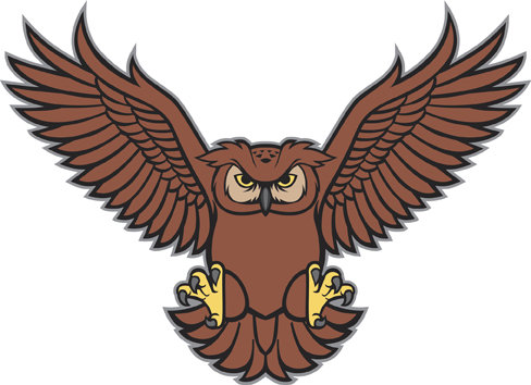 ThinkstockPhotos 490243256 OwlWingSpread - Why Are There No Owl Mascots in Big League Sports? ThinkstockPhotos 490243256 OwlWingSpread - Why Are There No Owl Mascots in Big League Sports?