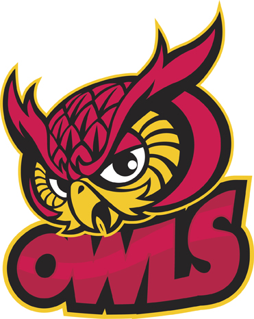ThinkstockPhotos 533998491 OwlMascot - Why Are There No Owl Mascots in Big League Sports? ThinkstockPhotos 533998491 OwlMascot - Why Are There No Owl Mascots in Big League Sports?